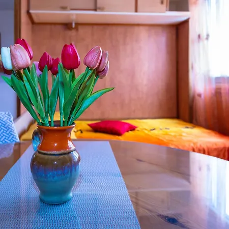 D Appartement Split