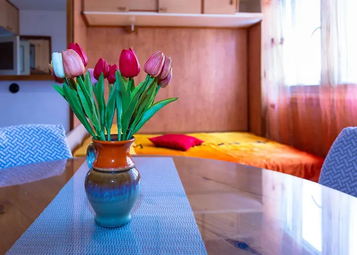 D 아파트 스플리트